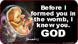 Before I Formed You in the Womb I Knew You 1x2 Envelope Sticker
